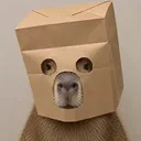 ZKAPI