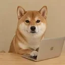 UI